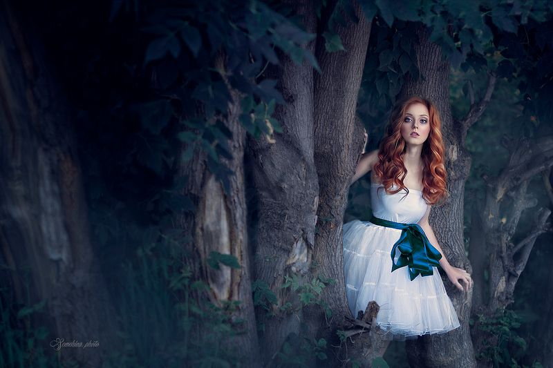 girl, alice,fairytale, green, wood, девушка, сказка, лес, туман  фото превью