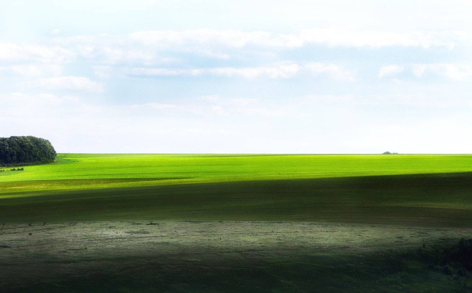 , Игорь Шиленок