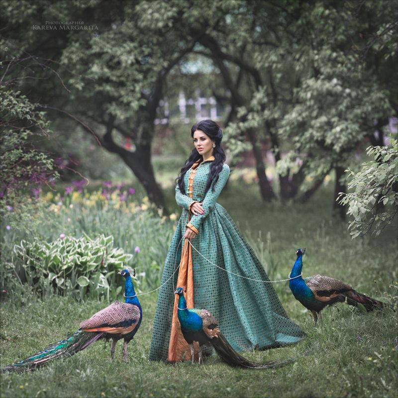 Павлин фото превью