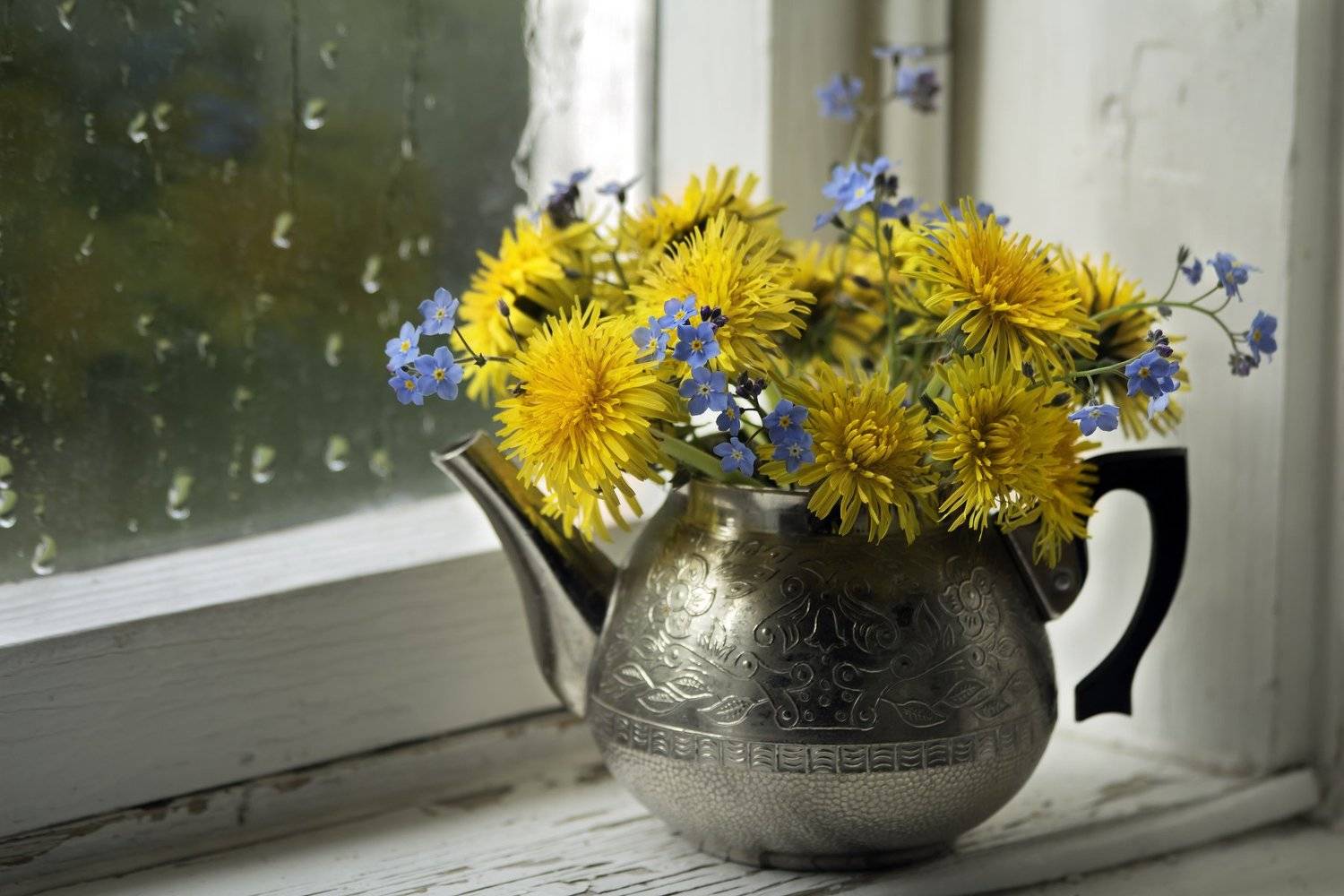 , Наталья Бочкарева