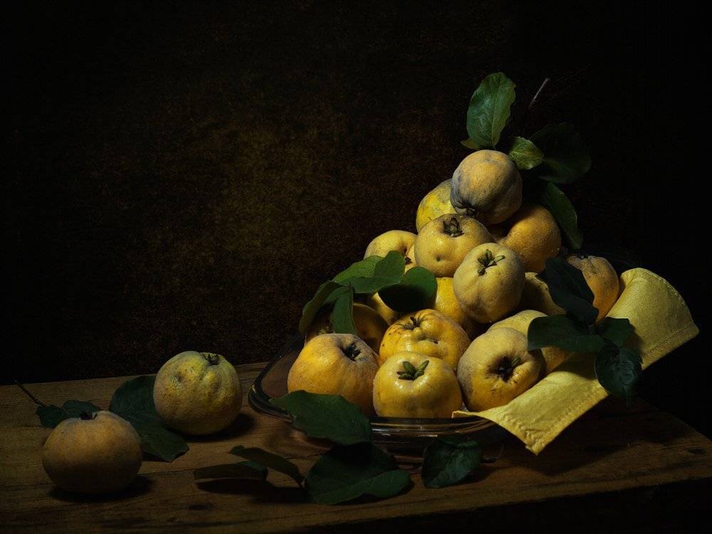 , Анжелика Королева
