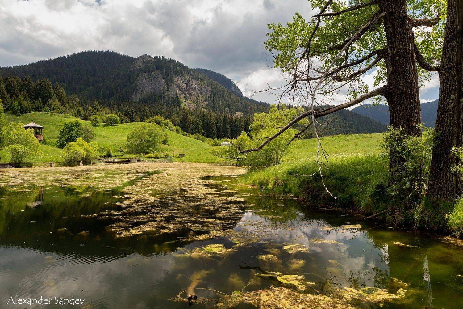 , Александър Сандев