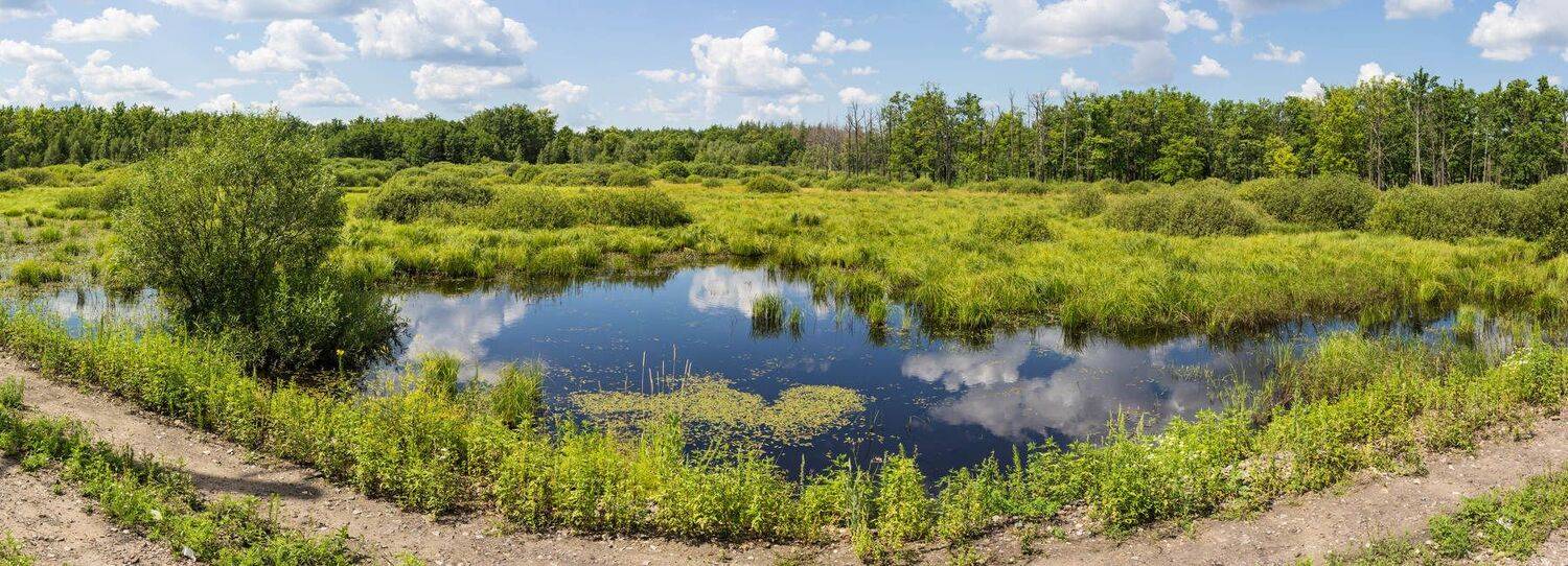 , Руслан Востриков