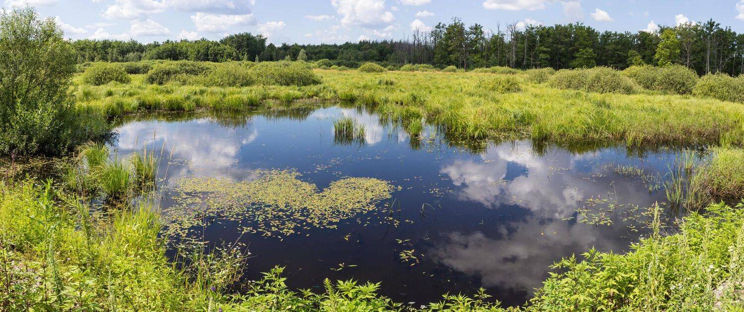 , Руслан Востриков