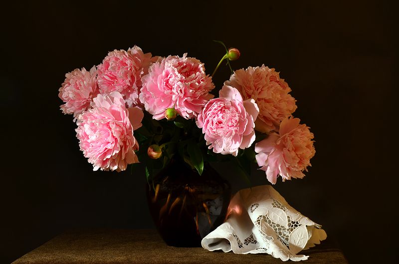 Пионы фото превью