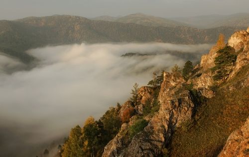 Солнечный склон.