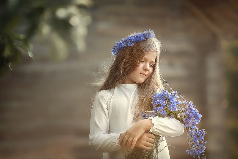 Васильки фото превью