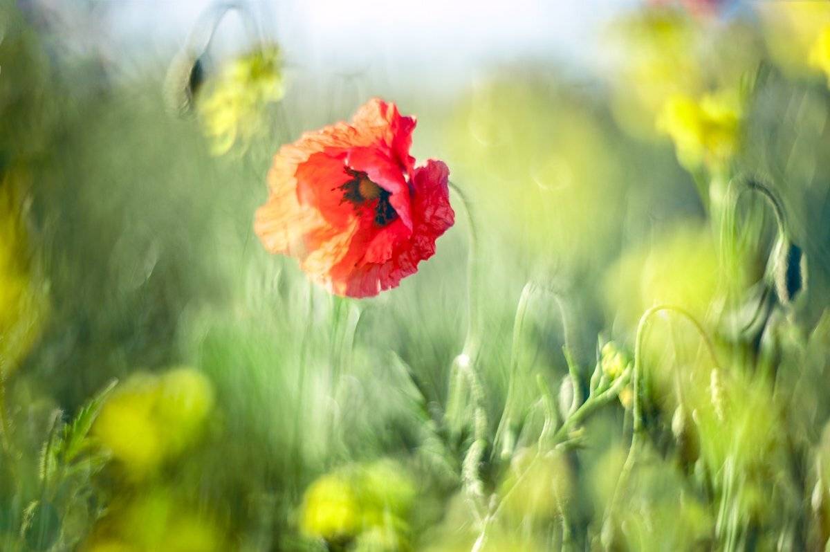 , Татьяна Аверина