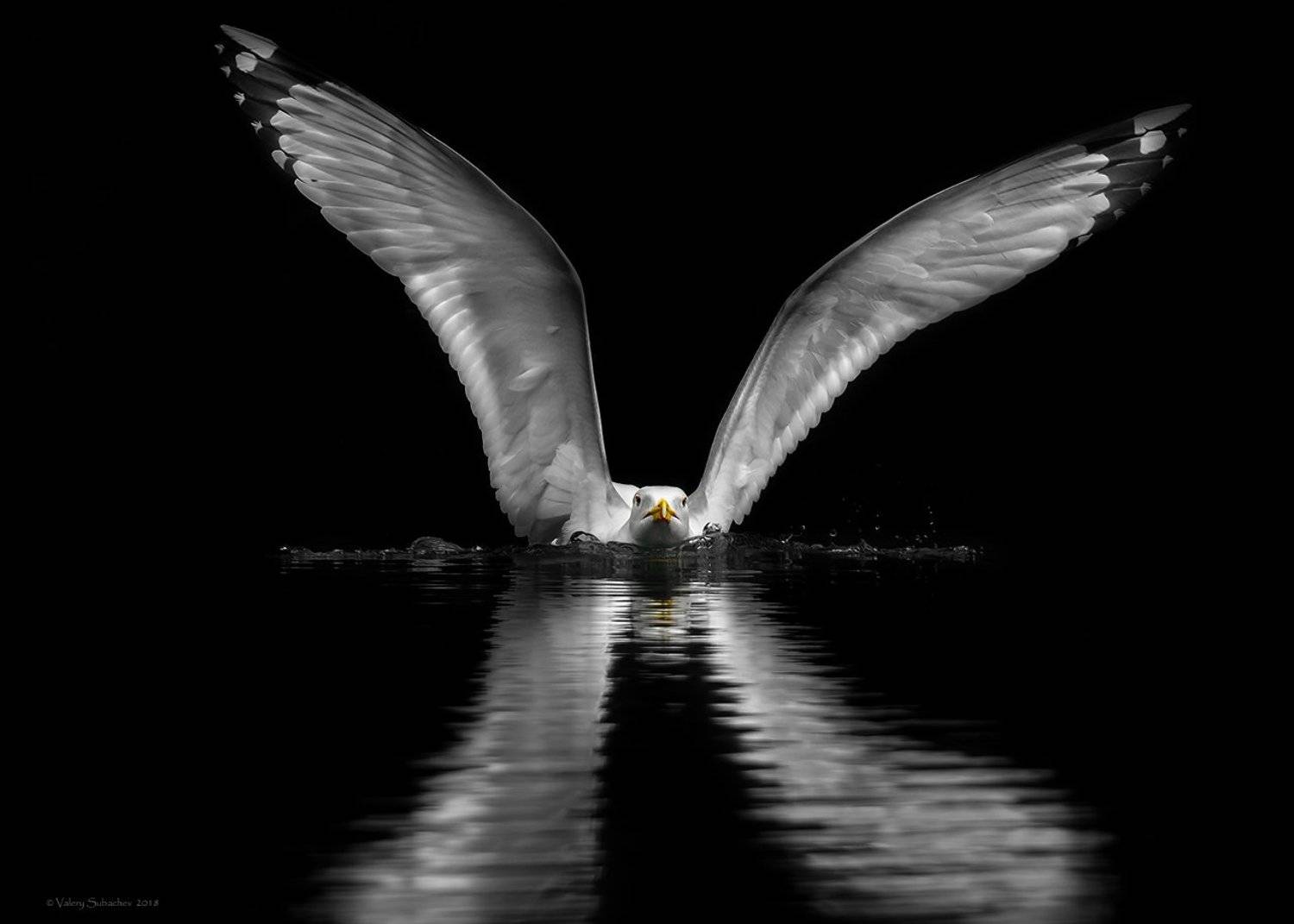 , Валерий Субачев