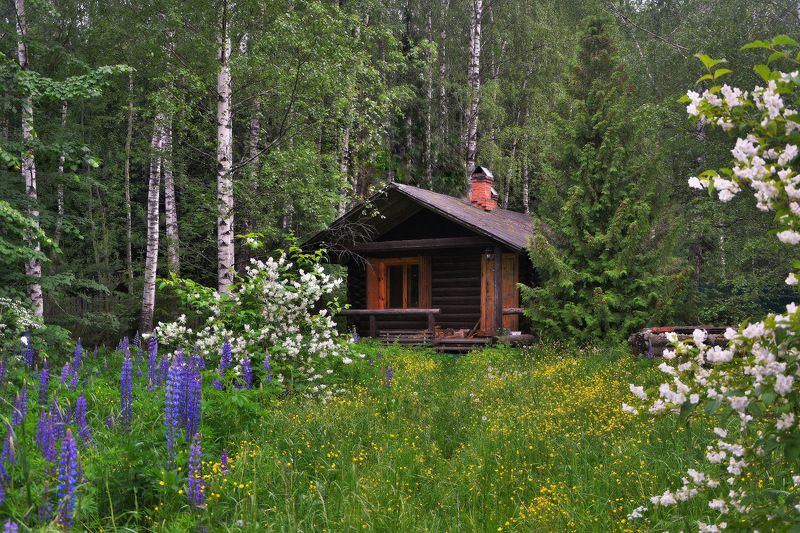 сергей алексеев, фото В гостях у сказки ( летом ) фото превью