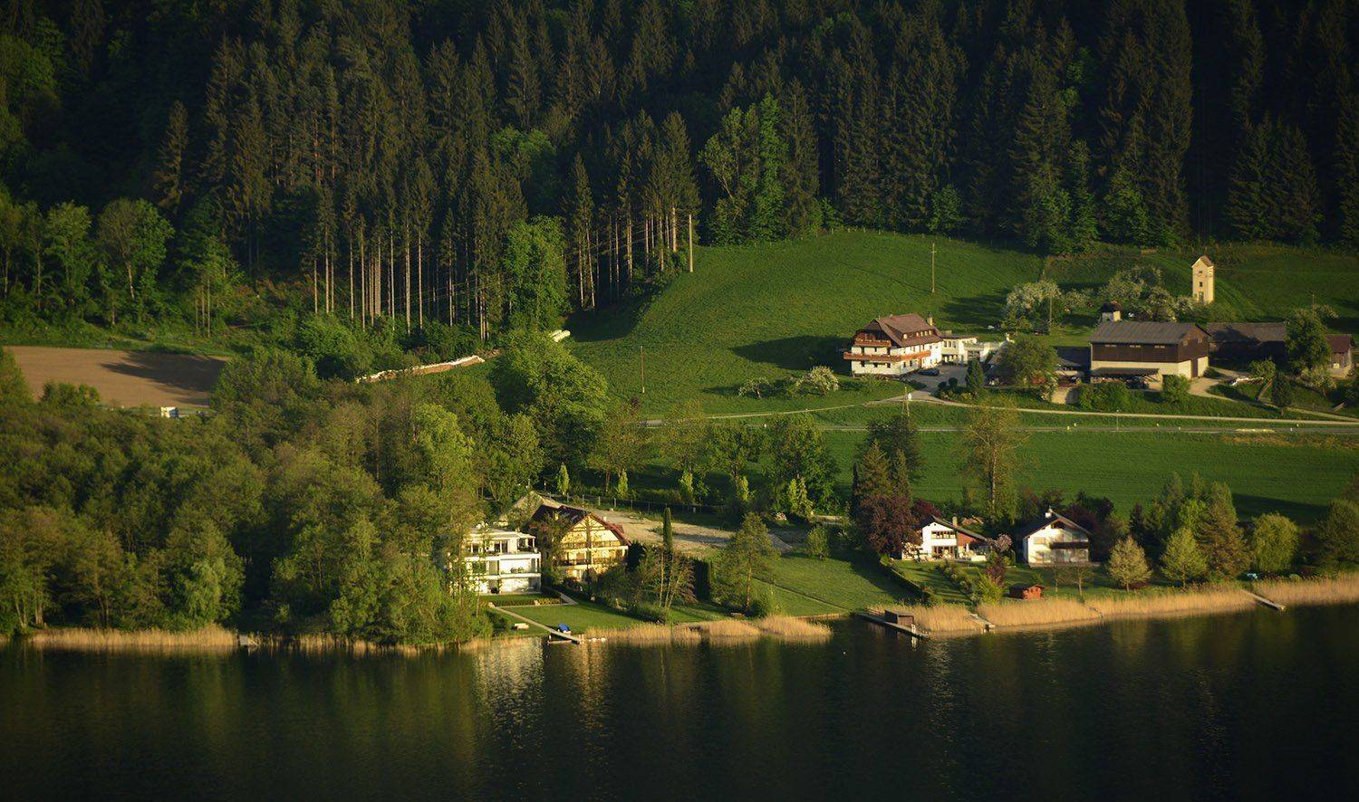 озеро, тишь да гладь, Дмитрий Колисниченко
