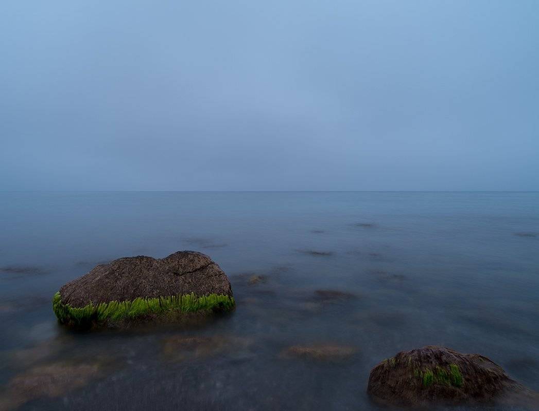 , Олег Логунов