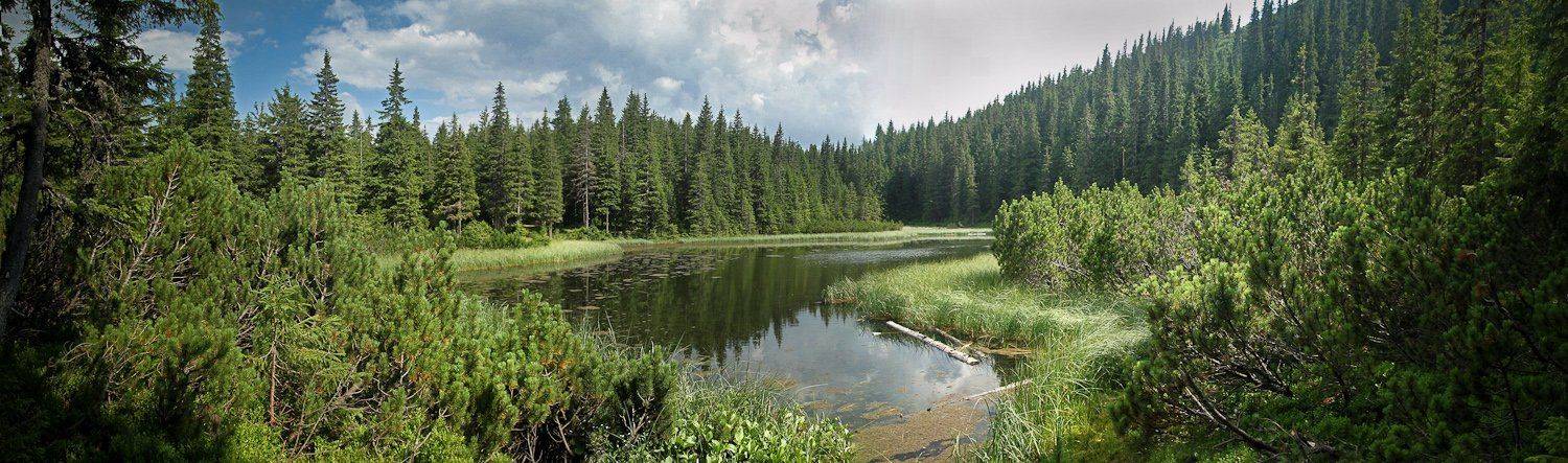 горганы, горы, карпаты, украина,, Алексей Медведев