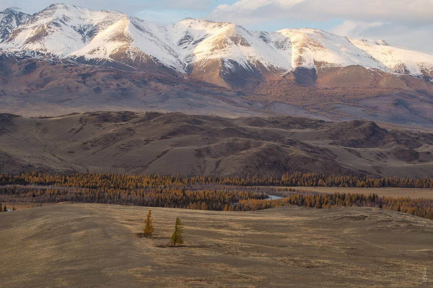 , Блинов Василий