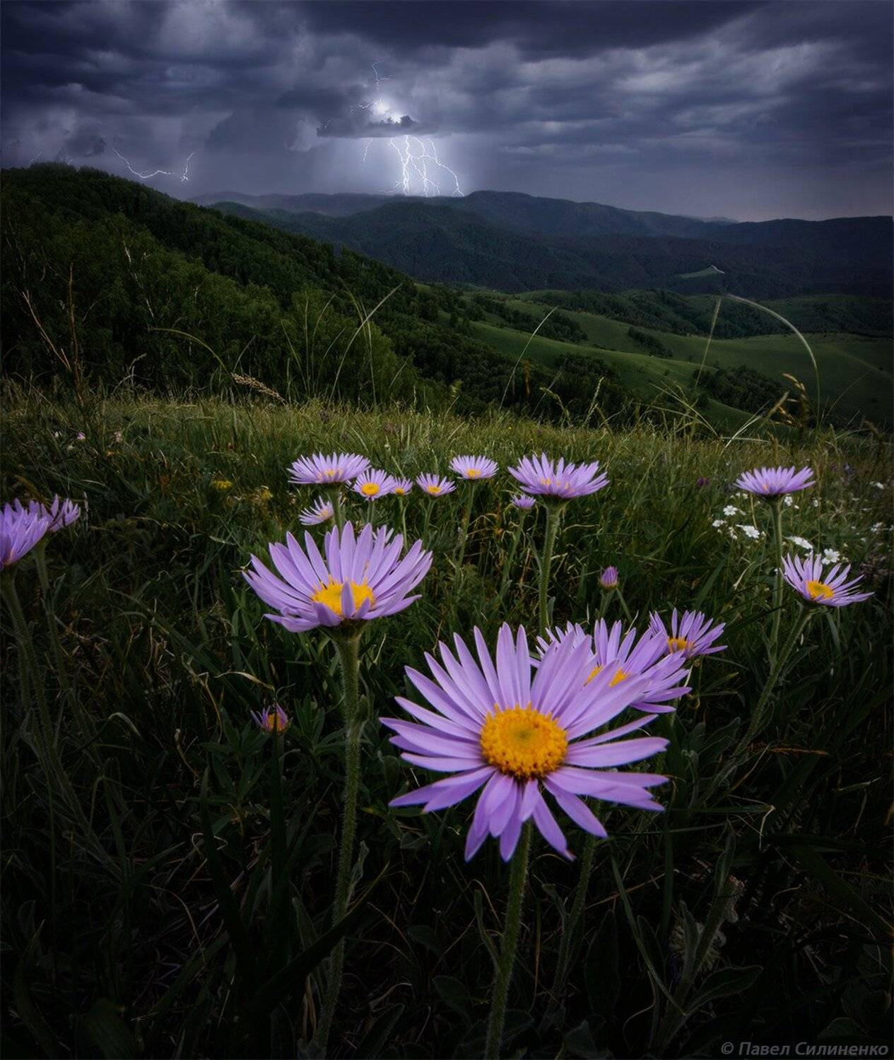 алтай, белокуриха, пейзаж, закат, вечер, лето, горы, , небо, облака, цветы, гроза, Павел Силиненко