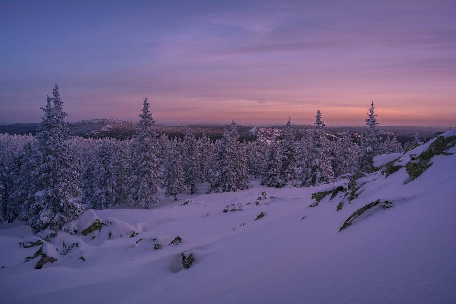 , Андрей Шарапов