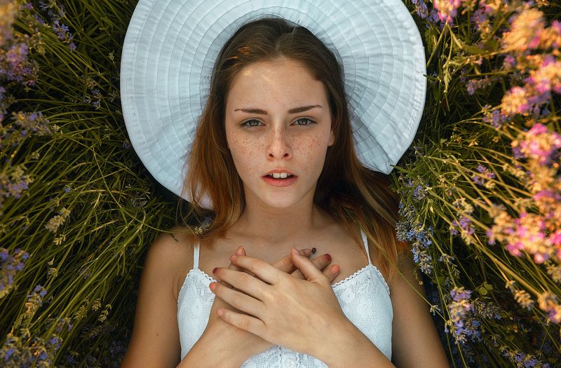 Стела и лаванда фото превью