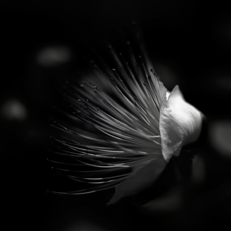 ... фото превью