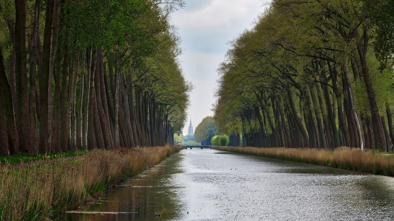 Damse Vaart фото превью