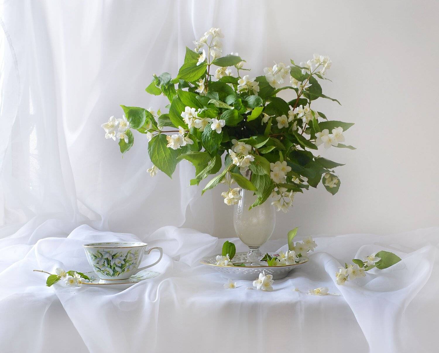 still life,натюрморт,  цветы, фото натюрморт, фарфор,  лето, июнь, жасмин,, Колова Валентина