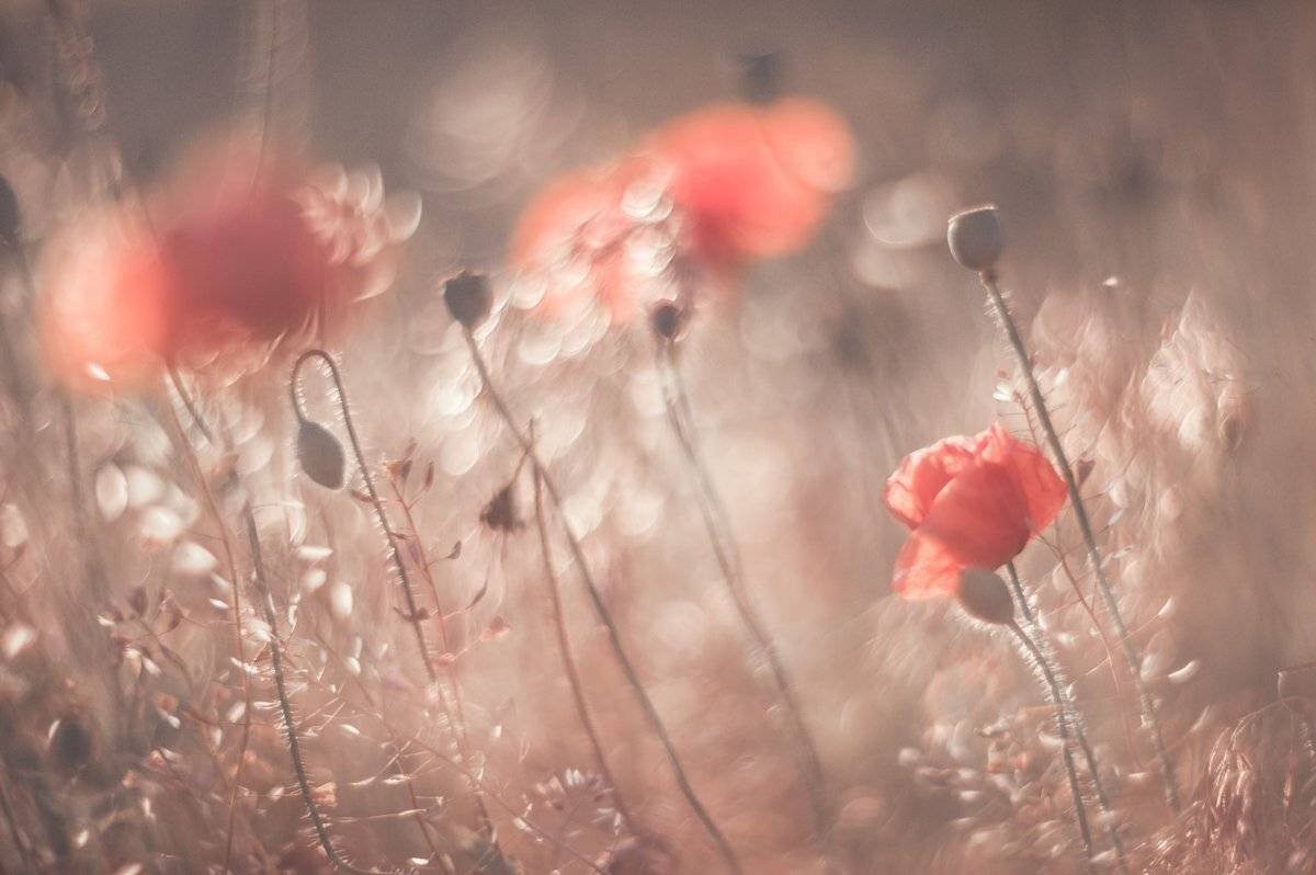 , Татьяна Аверина