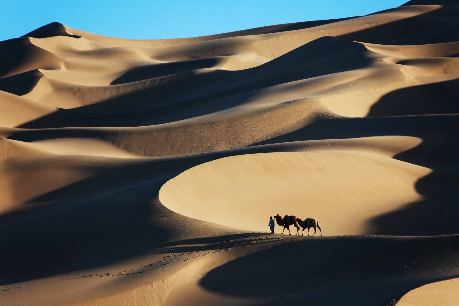 , Inkol Yu  유인걸