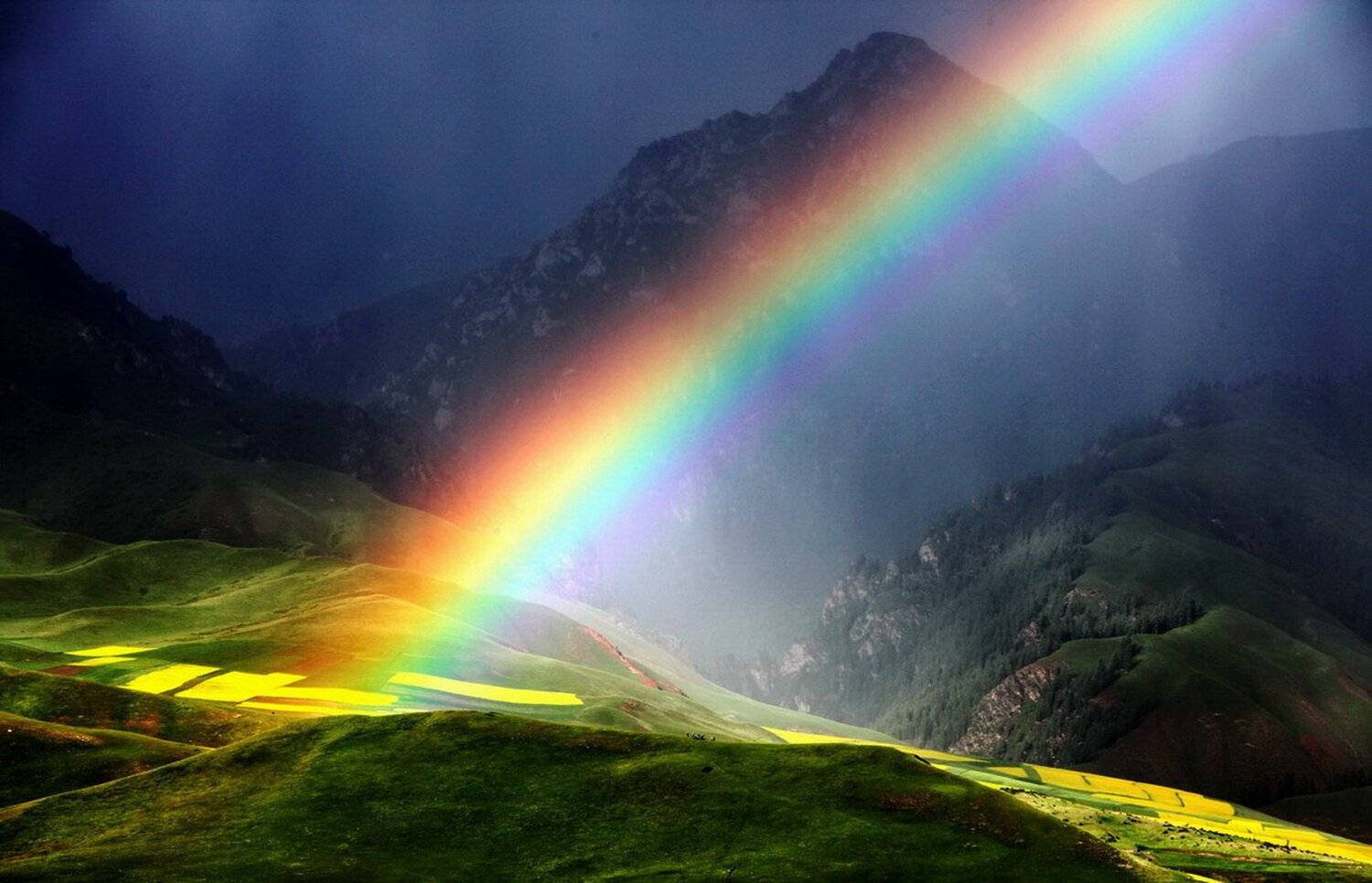 , Inkol Yu  유인걸