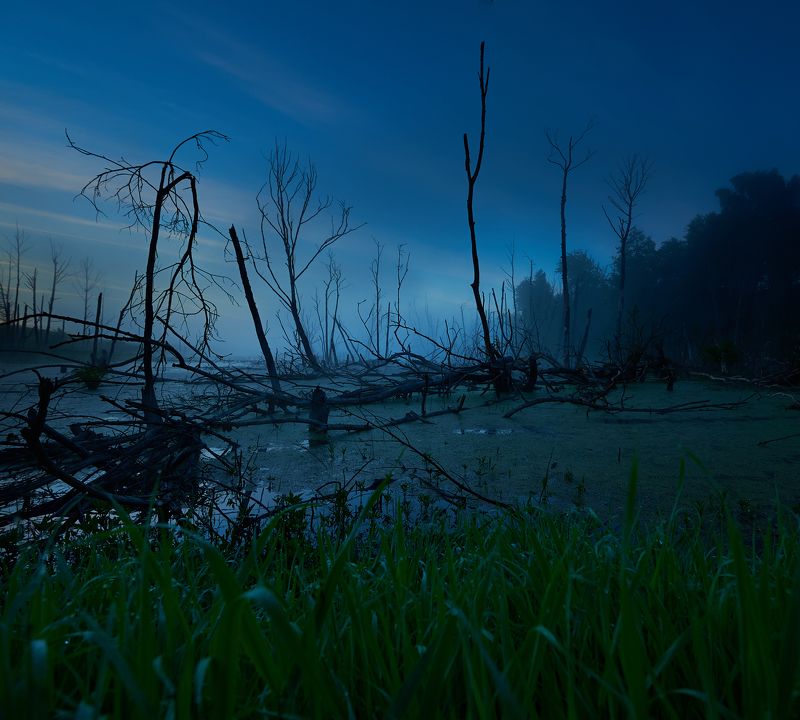 * фото превью