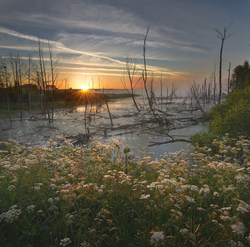 * фото превью