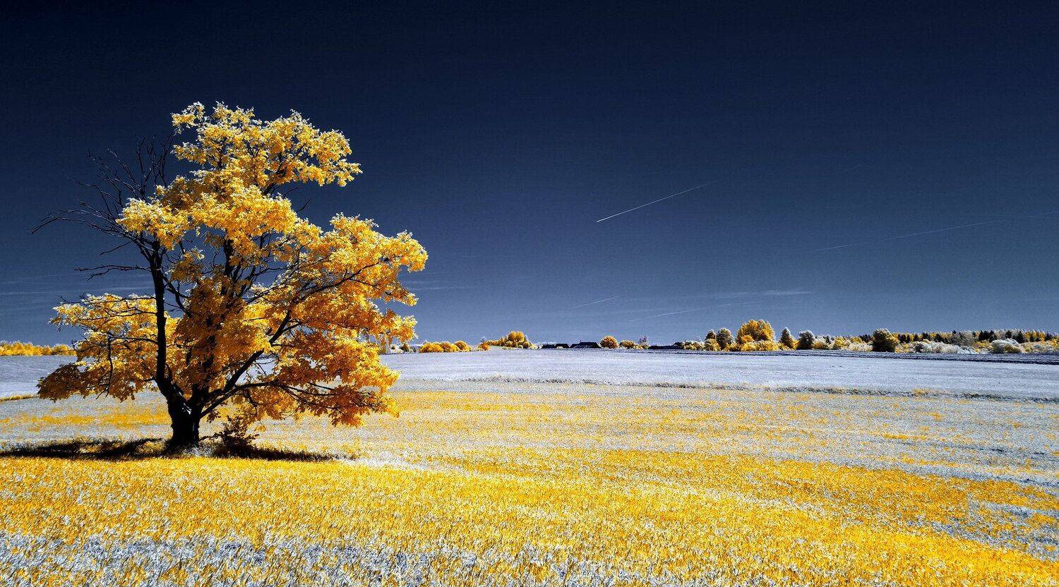 пейзаж, лето, беларусь, природа, инфракрасная фотография, инфракрасное фото, ик-фото, infrared,инфракрасная съемка, Sixten ( Сергей )