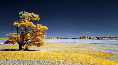 Сельский июнь. Инфракрасная фотография.