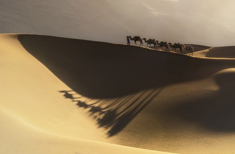 The way of man фото превью