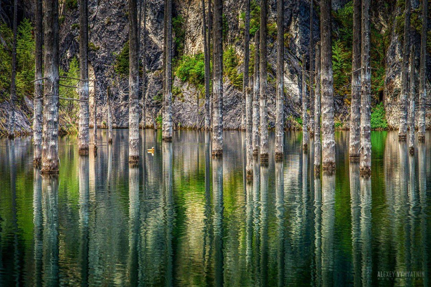 , Алексей Вымятнин