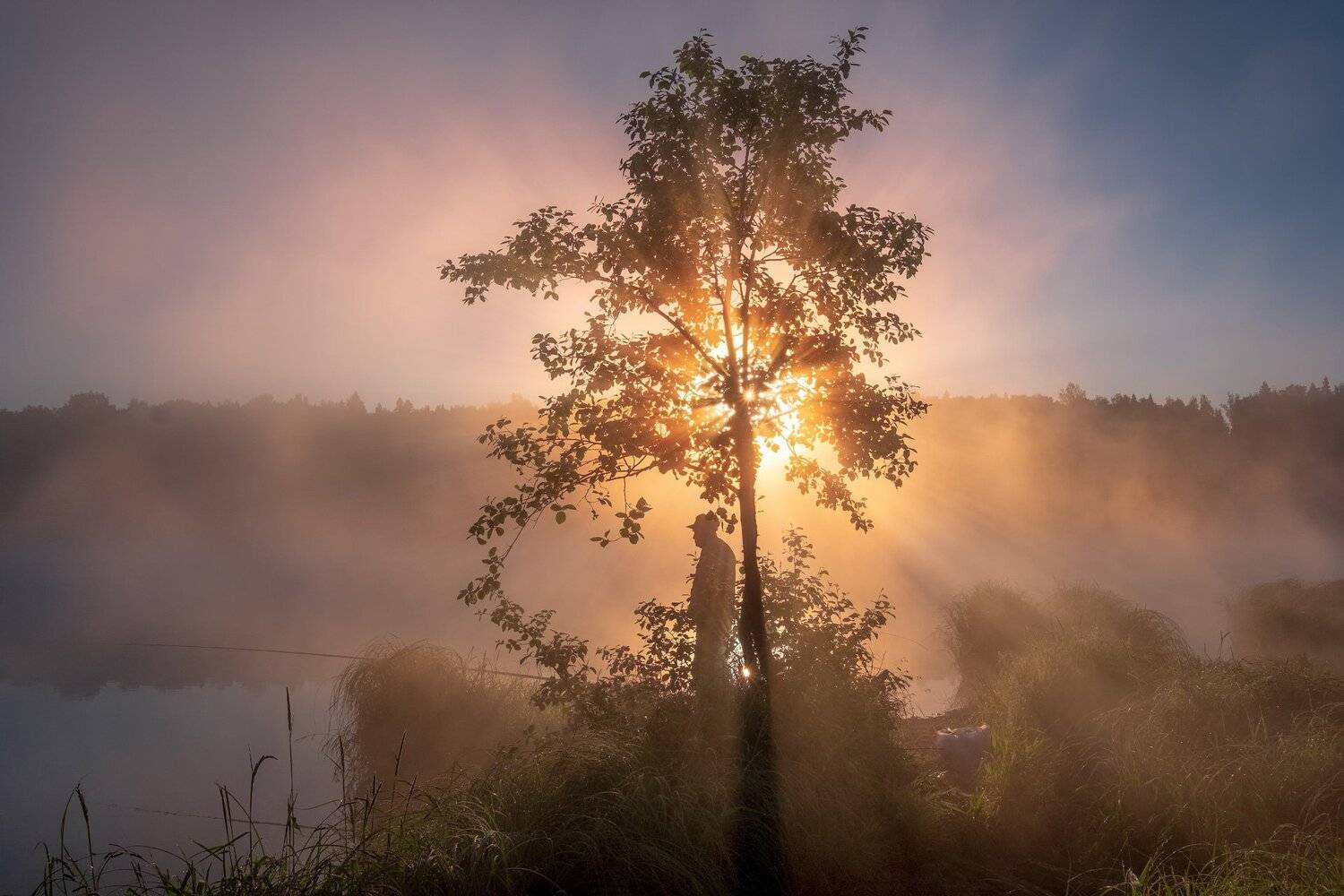 пейзаж, рассвет, молокча, река, рыбак, солнце, туман, Андрей Чиж