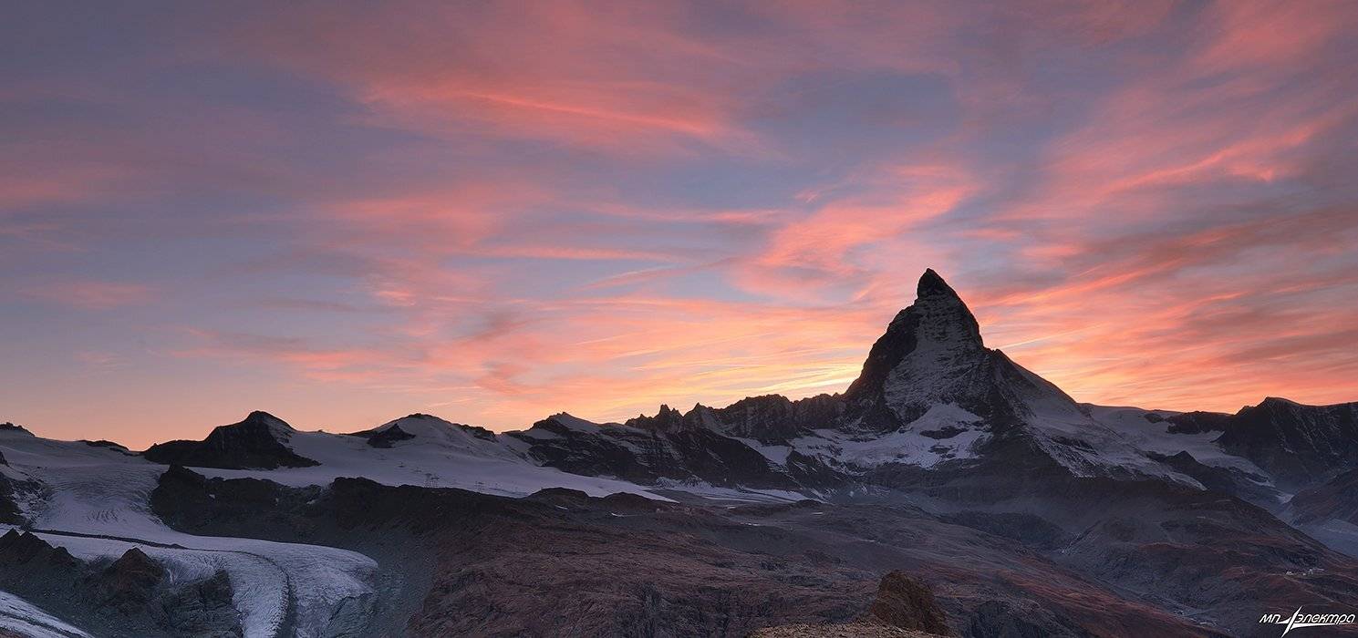 swiss, Матвеев Николай