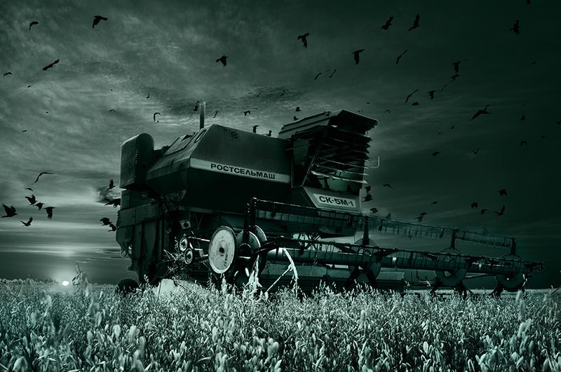 tdadiz, dizfx Жатва фото превью