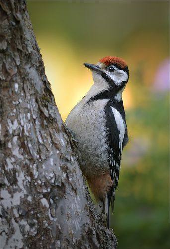 Подросток...