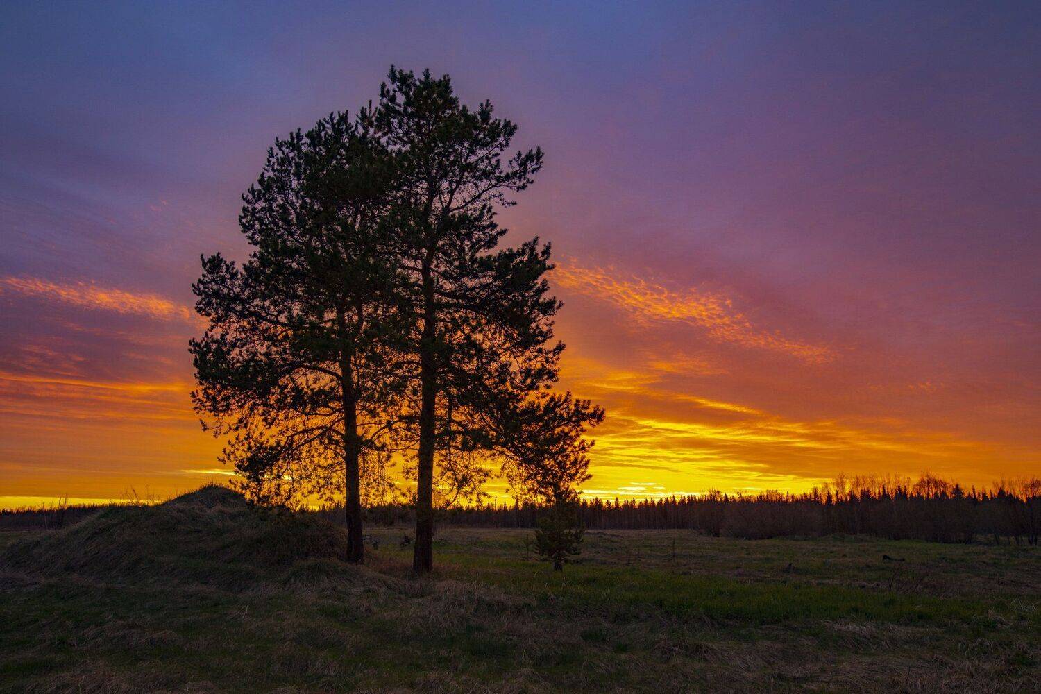 печора,закат,вечер,поздно,, Анатолий