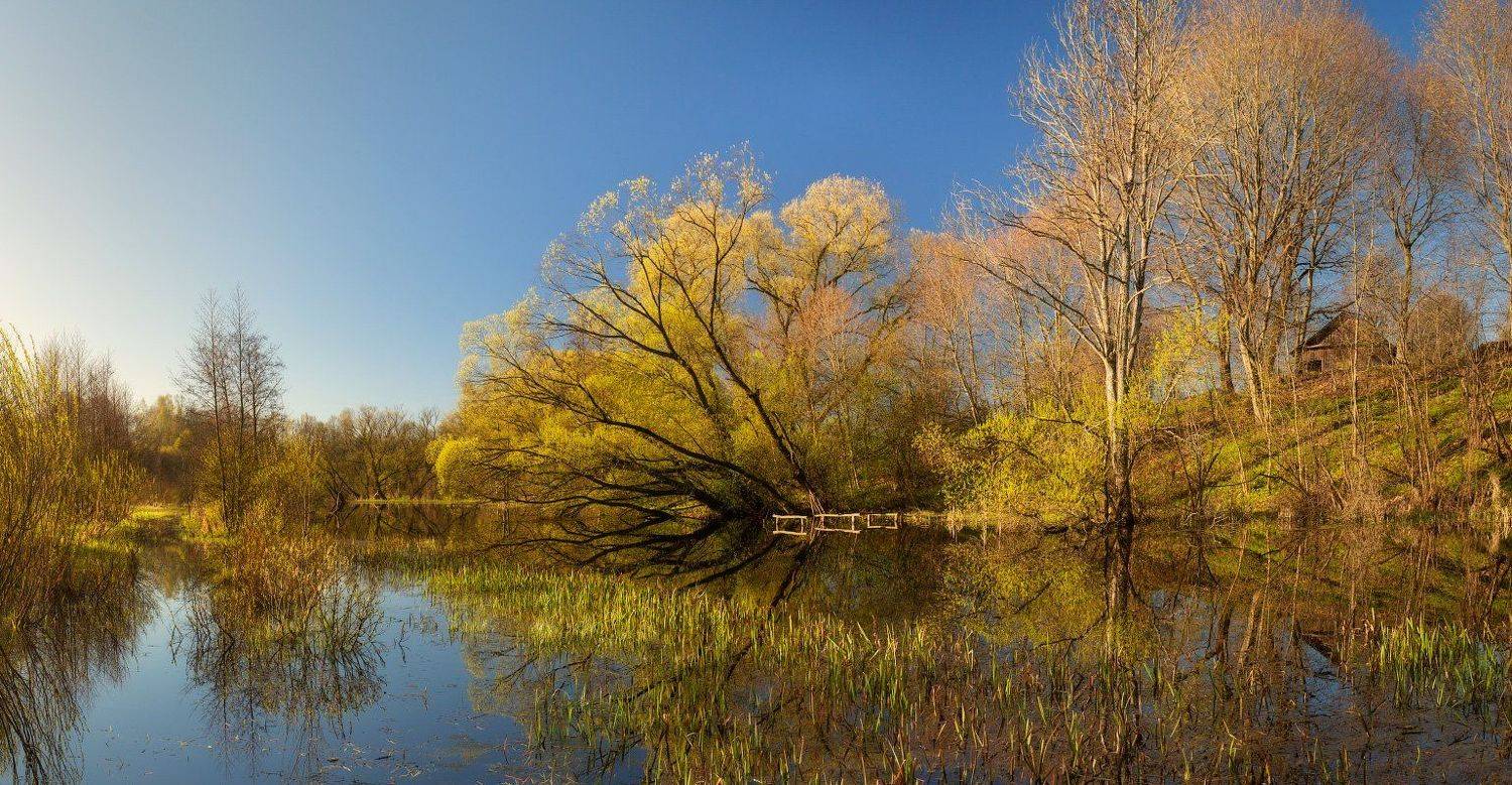 , Михаил Кушнер