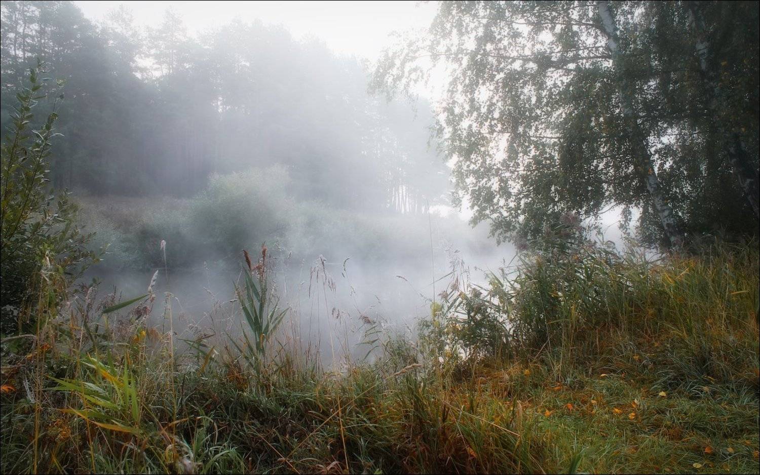 утро, река, осень, дымка,, Сергей Шабуневич