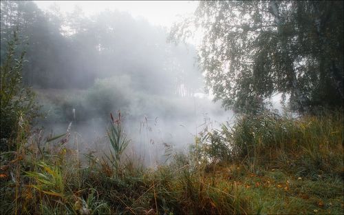 Осенний этюд