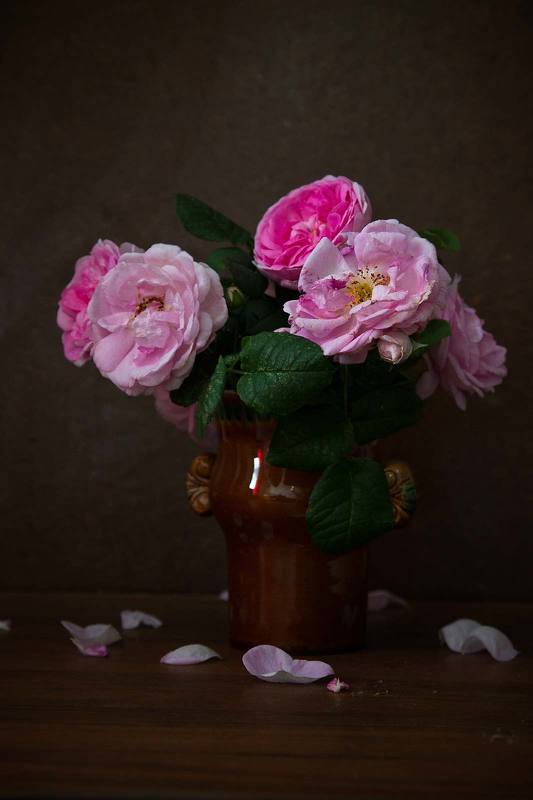 Розы фото превью