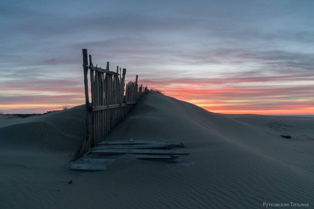 , Татьяна Рутковская