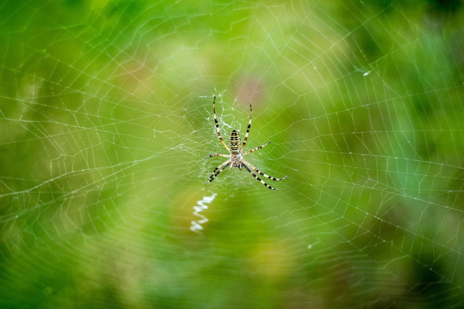 , Руслан Востриков