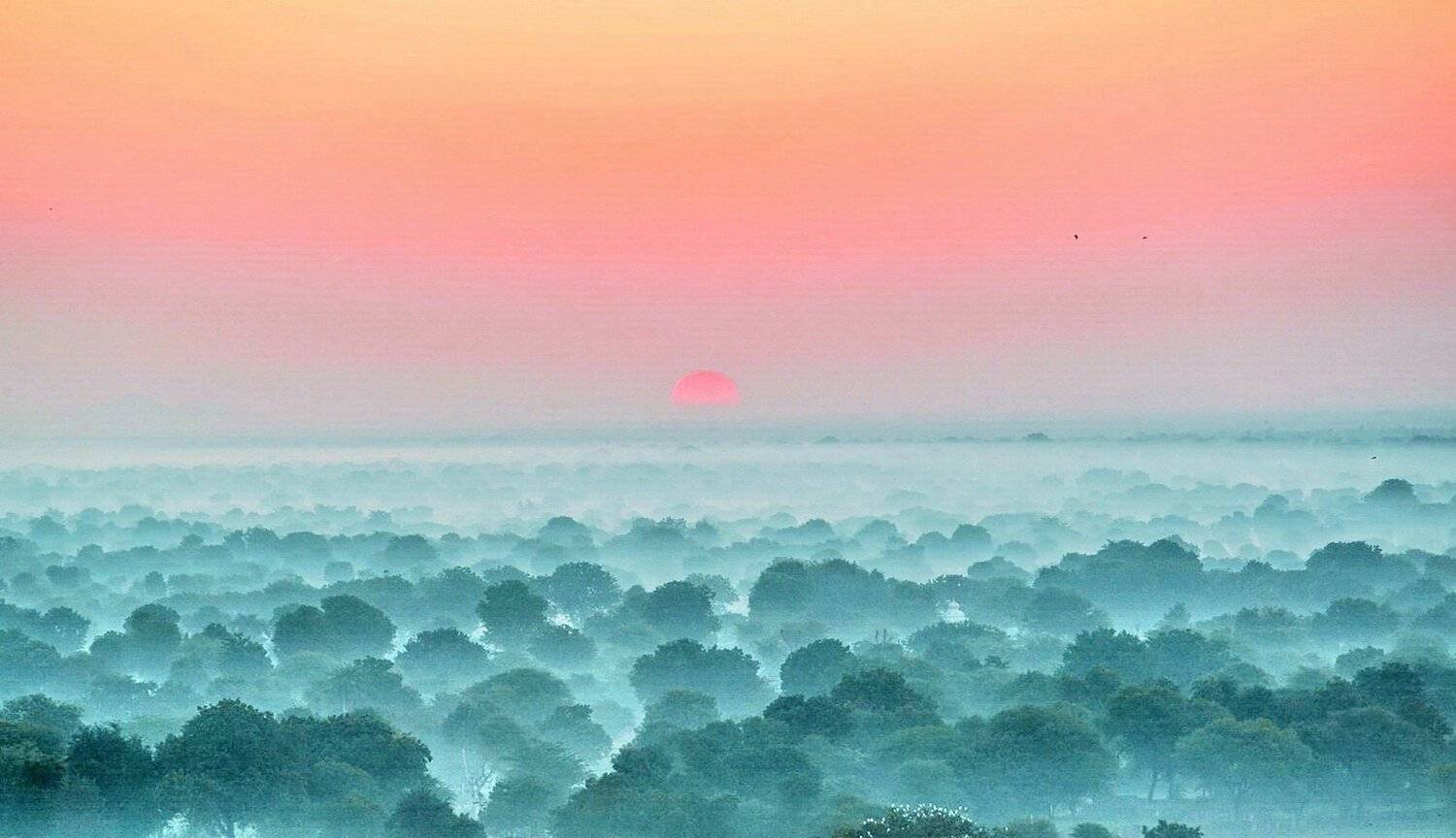 , Inkol Yu  유인걸