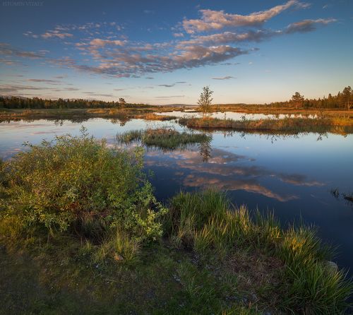 Прогулки по окрестностям Тик-Губы