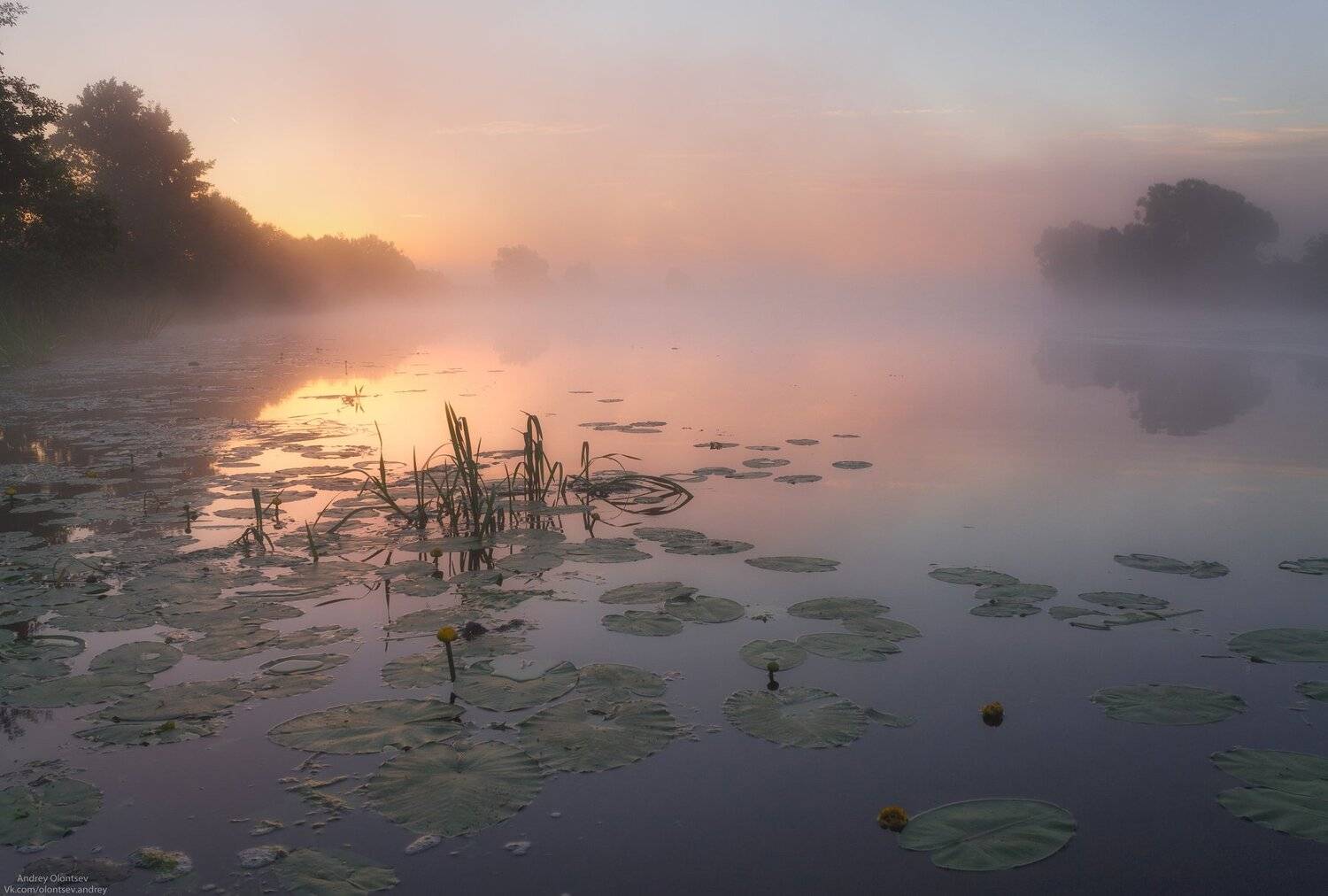 солнце, россия, рассвет, природа, подмосковье, погода, пейзажи, пейзаж, отражение, наукоград, красота, дубна, вода, весна, weather, water, spring, russia, reflection, naukograd, nature, moscow, landscape, dawn, canon dubna, beauty, Андрей Олонцев