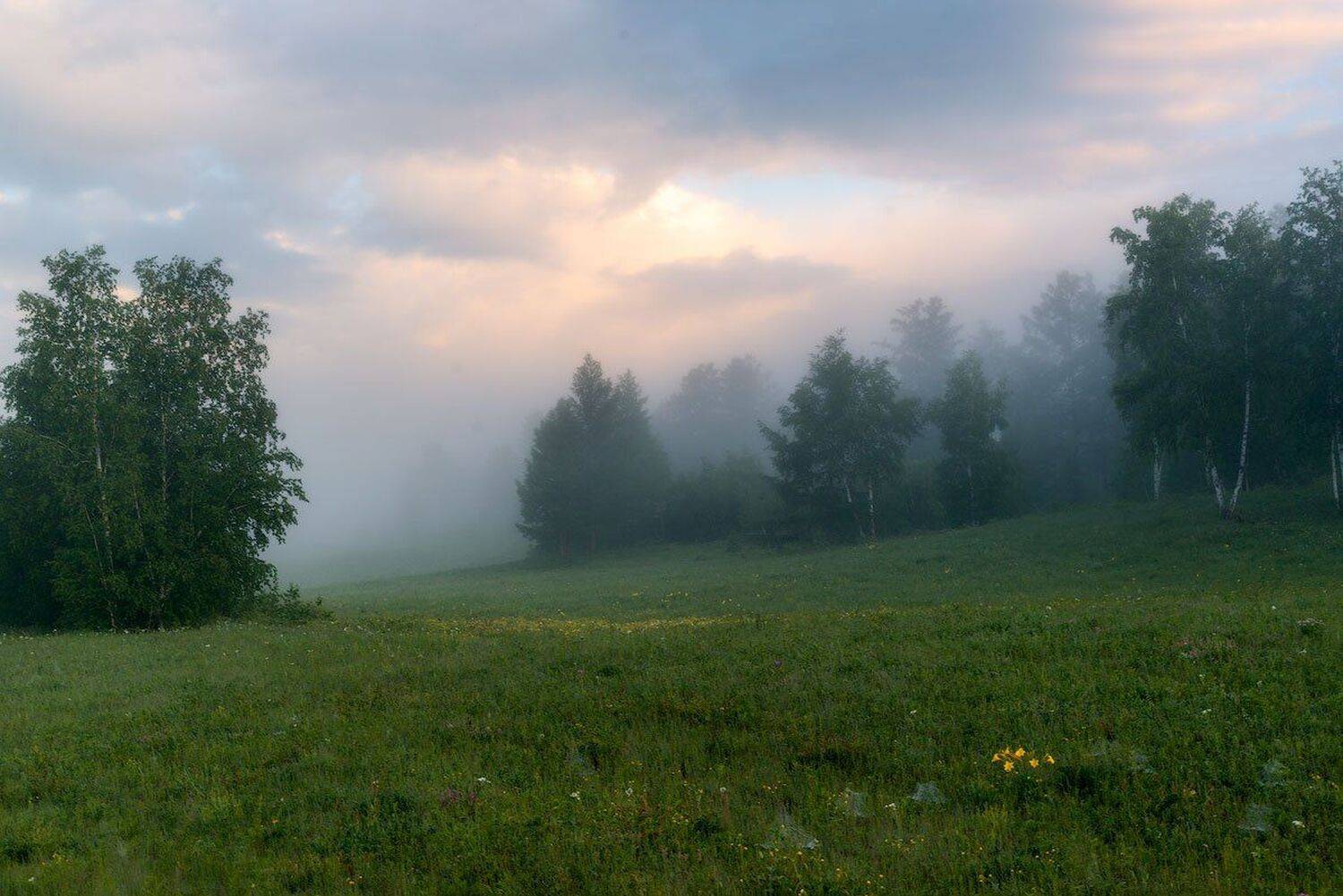 , Сергей Брагин