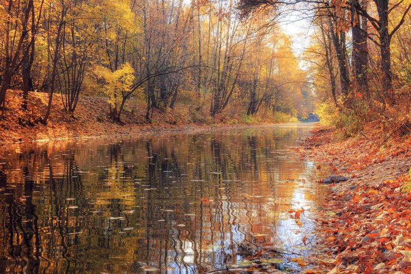 Осень фото превью