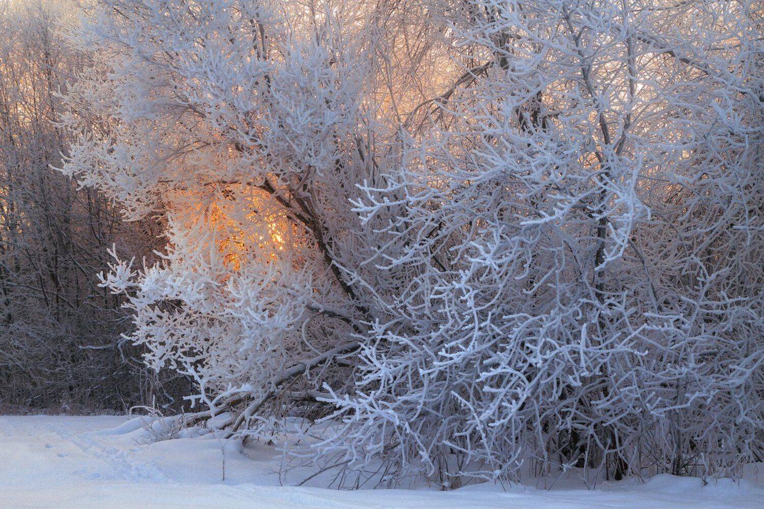 , Смольский Евгений